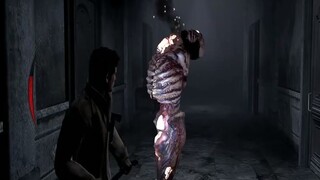 Silent Hill: Homecoming-Axeing Questions