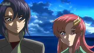 [Gundam SEED] Di tích của tự do-Có sức mạnh để bảo vệ những người bạn yêu thương-di tích-ヴェスティージ-TMR