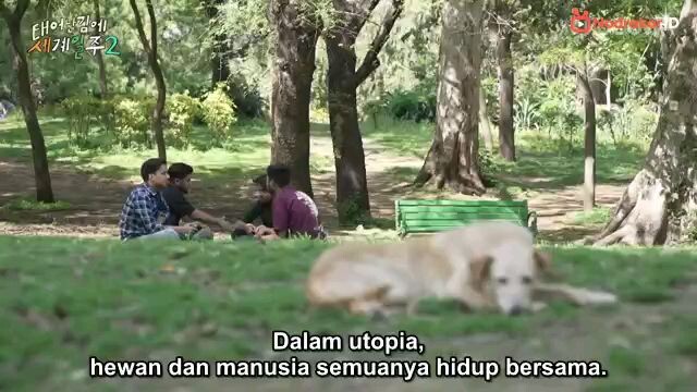 Adventure by accident season 2 episode 2 (sub indo)