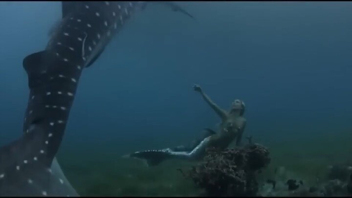 Scales: Mermaids Are Real movie link in introduction