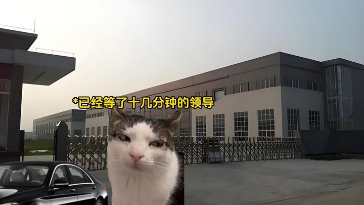 当00后第一次跟老板出差