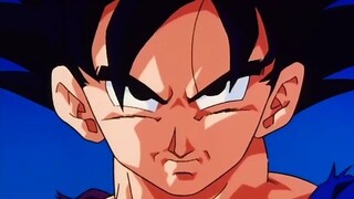 Episode  239-Find the Dragon Balls