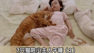 7只猫咪陪小主人午睡，其他猫咪怕小主人热，大橘猫就要挨着它的公主