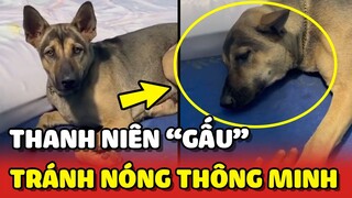 Thanh niên Gấu với những cách TRÁNH NÓNG siêu thông minh 😂 | Yêu Lu