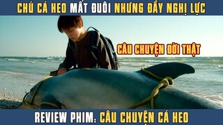 Review phim - Câu chuyện cá heo - Câu chuyện có thật về chú cá heo đầy nghị lực sống