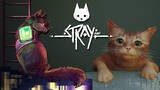 We've Made a Fatal Mistake 🐈🤖 Stray • #1