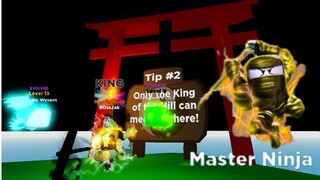 I UNLOCKED MASTER NINJA RANK AND THE MOST EXPENSIVE SWORD Roblox Ninja Legends