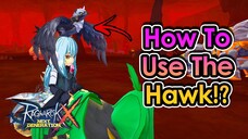 [ROX] Windhawk Hawk Build Setup For Optimum Damage With DPS Test | King Spade