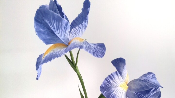 Hoa nghệ thuật giấy iris khổng lồ dễ thương