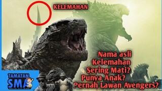 Sering mati !? Punya Anak !? 10 FAKTA GODZILLA - Tamatan SMA