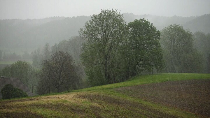 ASMR Hujan || Rain ASMR