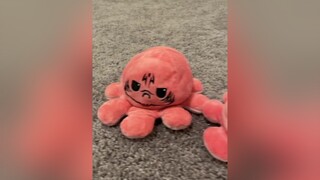 The amount of times it took Hannah and I to film this 😩 JJK Sakuna jujutsukaisen itadoriyuuji FYP plushie anime reversibleoctopus