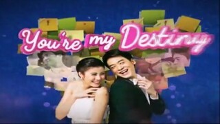 YOU'RE MY DESTINY EPISODE 23 (TAGALOG DUBBED)