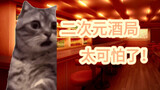 第一次去二次元酒局【猫meme】