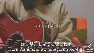 hora ashimoto
