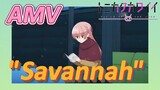 [Tonikaku Kawaii] AMV |  "Savannah"