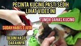 Subhanallah Kucing Liar Kena Kena Tumor Ganas Di Rujuk Untuk Di Oprasi Tapi Bikin Air Mata Menetes.!