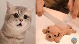 Cats Reaction to Cutting Cake 🤣 l Funny Pets Cake Reaction Funny | MEOW
