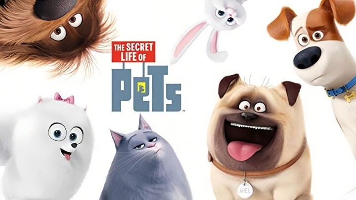 The Secret Life of Pets  (2016)