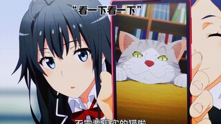 Cats control Yukino