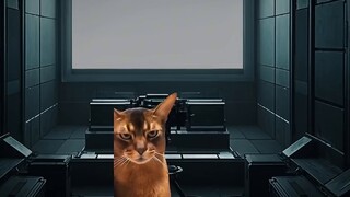 The Birth of a Villain Episodes 1-14