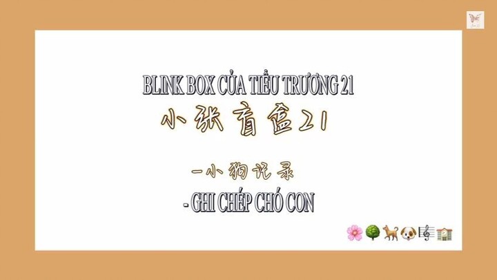 [VIETSUB] Trương Chân Nguyên-Blink box của Tiểu Trương 21