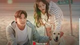 Lovestruck in the City English sub ep 8