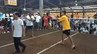 First fight champion 2hits