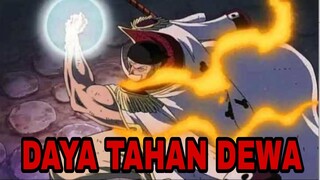 10 KARAKTER DENGAN DAYA TAHAN TUBUH PALING DAHSYAT DI ONE PIECE - ANIME REVIEW