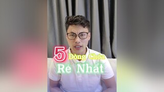 5 dòng Chóa rẻ nhất chó không ai lấy lequoctien chiase chomeo pets LearnOnTikTok thucung