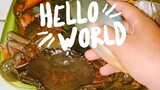 Home made "Adobong Mud Crab 🦀"https://youtu.be/NrnACGY7LNE