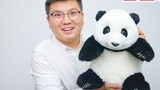 Saya membeli seekor panda seharga 1299 yuan dan memberikannya kepada anjing saya untuk dimainkan, ap