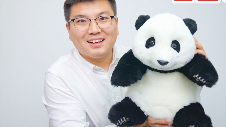 I bought a panda for 1299 yuan and gave it to my dog to play with. Will it like it?