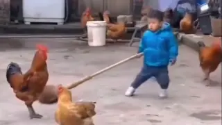 Collection of fighting moment of animals