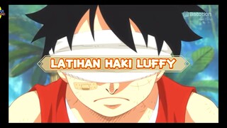 MOMENT KETIKA LUFFY LATIHAN HAKI