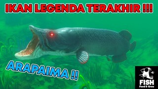 APAKAH ARAPAIMA BISA DIKALAHKAN DENGAN IKAN TONGKOL ??? - Feed and Grow Fish