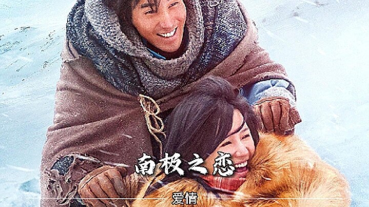 在遥远的南极，命运让我们相依