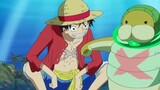 Thầy trò Luffy tái ngộ :))))