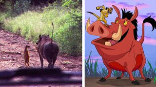 15 Animated Characters Caught In Real Life