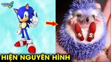 ✈️ 8 Sự Thật Kỳ Lạ Đằng Sau Nhím Sonic Khiến Các Fan Cực Bất Ngờ | Khám Phá Đó Đây