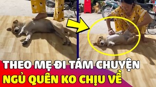 Sang nhà hàng xóm 'TÁM CHUYỆN' chú chó ngủ quên mẹ gọi 'KHÔNG CHỊU VỀ' 😅 Gâu Đần