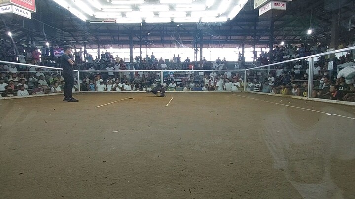 Kelso cross / Drag fight ( Dampalit cockpit arena )