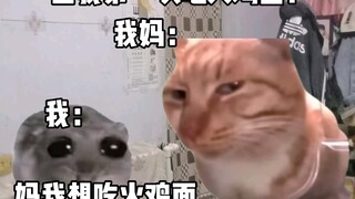 当我第一次吃火鸡面(猫meme)