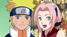 Naruto Season 8 - Episode 202: The Top 5 Ninja Battles In Hindi