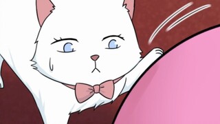 宠物运动会（1）【原创动画  猫总白一航】