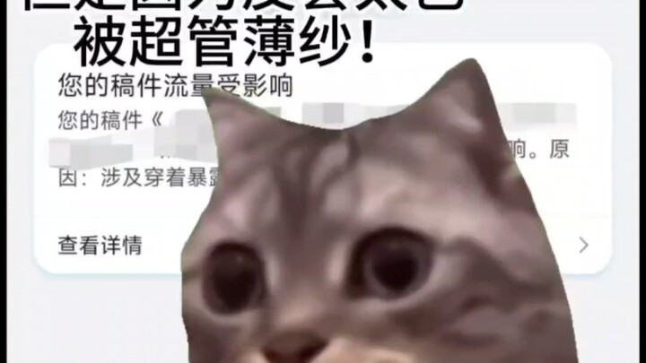 [Cat Meme] Karir virtualmu bahkan belum dimulai, tapi kamu akan segera lulus karena tas kulitnya ter