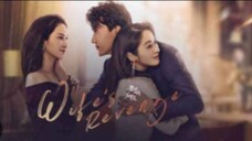 14. Wife's Revenge (2021) Eng sub episode 14