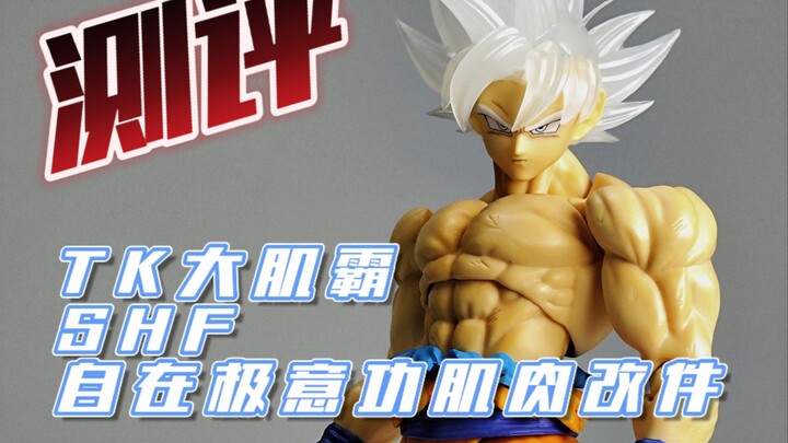 造型完美&定价夸张？龙珠第三方 TK大肌霸 SHF自在极意功肌肉配件开箱测评【宇晨北的模玩屋08】