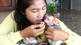 Cute Tiny Baby Maki Eating Cake And Drinking strawberry Milk With Mom Very Delicious for Breakfast