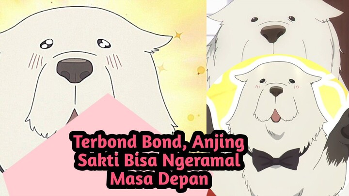 Bond Anjing Anya Yang Dapat Meramalkan Masa Depan Dengan Tepat